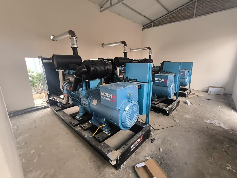 河南南陽某食品養(yǎng)殖基地濰柴原裝機組三臺并機安裝調(diào)試